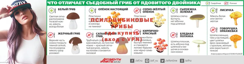 blacksprut зеркало  Лысьва  Псилоцибиновые грибы Psilocybe 